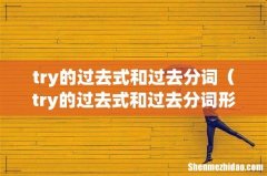 try的过去式和过去分词形式 try的过去式和过去分词