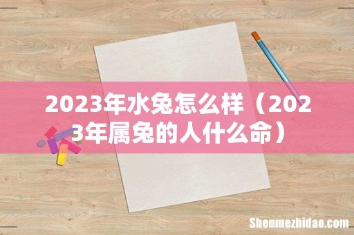 2023年属兔的人什么命 2023年水兔怎么样