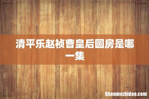 清平乐赵祯曹皇后圆房是哪一集