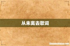 从未离去歌词