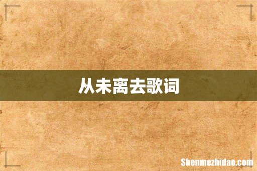 从未离去歌词