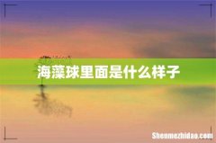 海藻球里面是什么样子