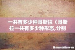 哥斯拉一共有多少种形态,分别叫什么 一共有多少种哥斯拉