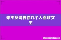 来不及说爱你几个人喜欢女主
