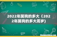 2022年属狗的多大（2022年属狗的多大周岁)