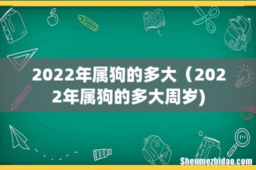 2022年属狗的多大(2022年属狗的多大周岁)