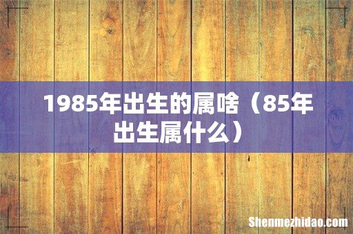85年出生属什么 1985年出生的属啥