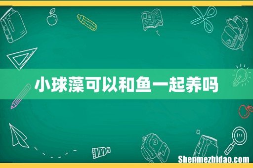 小球藻可以和鱼一起养吗