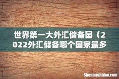 2022外汇储备哪个国家最多 世界第一大外汇储备国