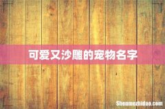 可爱又沙雕的宠物名字