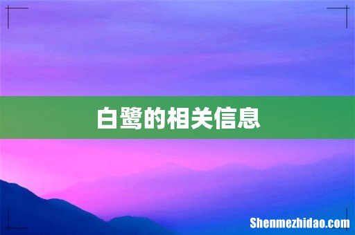 白鹭的相关信息