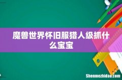 魔兽世界怀旧服猎人级抓什么宝宝