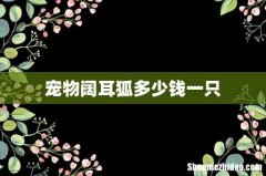 宠物阔耳狐多少钱一只