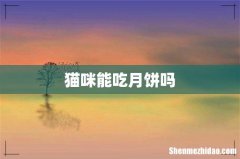 猫咪能吃月饼吗