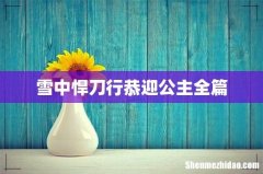 雪中悍刀行恭迎公主全篇