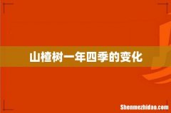 山楂树一年四季的变化