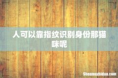 人可以靠指纹识别身份那猫咪呢