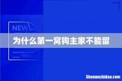 为什么第一窝狗主家不能留