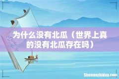 世界上真的没有北瓜存在吗 为什么没有北瓜