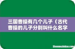 古代曹操的儿子分别叫什么名字 三国曹操有几个儿子