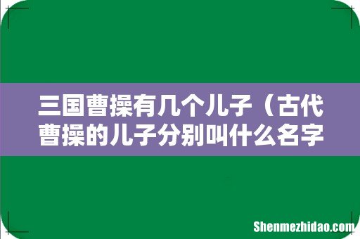古代曹操的儿子分别叫什么名字 三国曹操有几个儿子