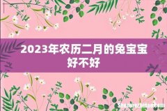 2023年农历二月的兔宝宝好不好