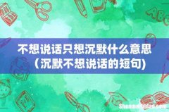 不想说话只想沉默什么意思（沉默不想说话的短句)