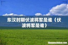 伏波将军是谁 东汉时期伏波将军是谁