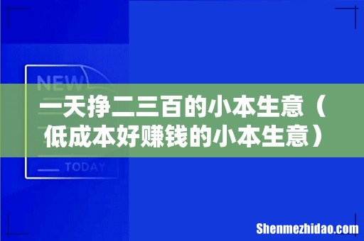 低成本好赚钱的小本生意 一天挣二三百的小本生意