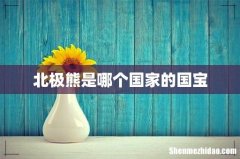 北极熊是哪个国家的国宝