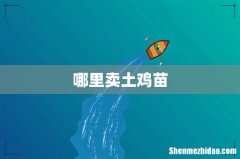 哪里卖土鸡苗