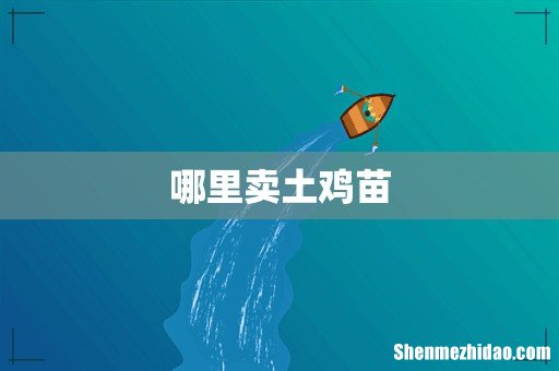 哪里卖土鸡苗