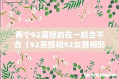 92男猴和92女猴相配吗 两个92属猴的在一起合不合