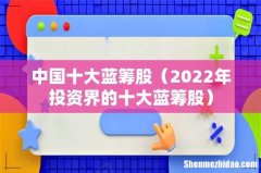 2022年投资界的十大蓝筹股 中国十大蓝筹股