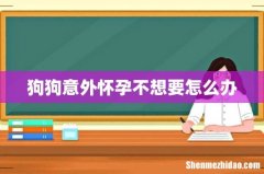狗狗意外怀孕不想要怎么办