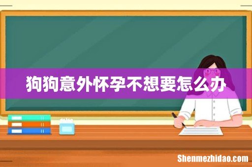 狗狗意外怀孕不想要怎么办