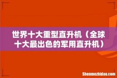 全球十大最出色的军用直升机 世界十大重型直升机