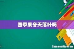 四季果冬天落叶吗