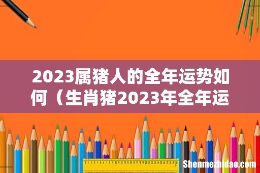 生肖猪2023年全年运势 2023属猪人的全年运势如何
