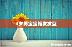 4岁男宝宝短发发型