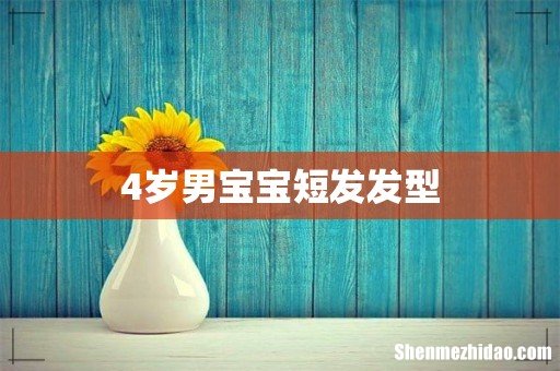 4岁男宝宝短发发型