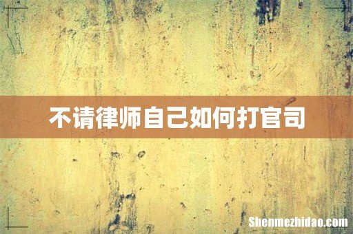 不请律师自己如何打官司