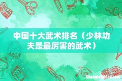 少林功夫是最厉害的武术 中国十大武术排名