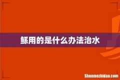 鲧用的是什么办法治水