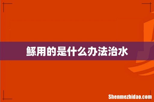 鲧用的是什么办法治水