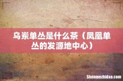 凤凰单丛的发源地中心 乌岽单丛是什么茶