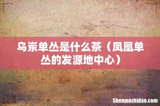凤凰单丛的发源地中心 乌岽单丛是什么茶