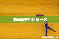 中国最好奶粉第一名
