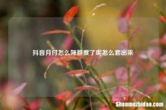 抖音月付怎么降额度了呢怎么套出来