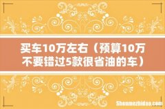 预算10万不要错过5款很省油的车 买车10万左右